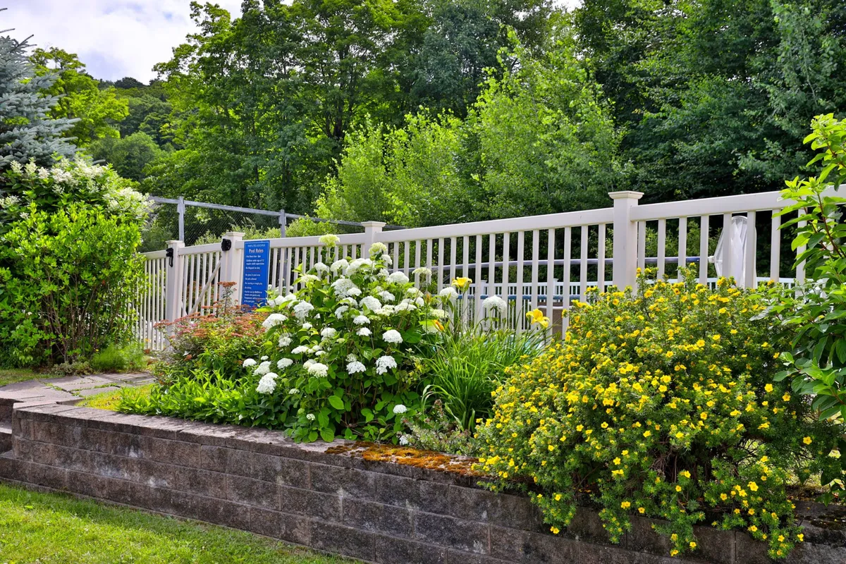 A tranquil exterior scene featuring flowering shrubs, lush green foliage, white hydrangeas, and a rustic wooden fence. The garden is bathed in sunlight, evoking a sense of peace and connection with nature—an inviting outdoor space for relaxation or contemplation.