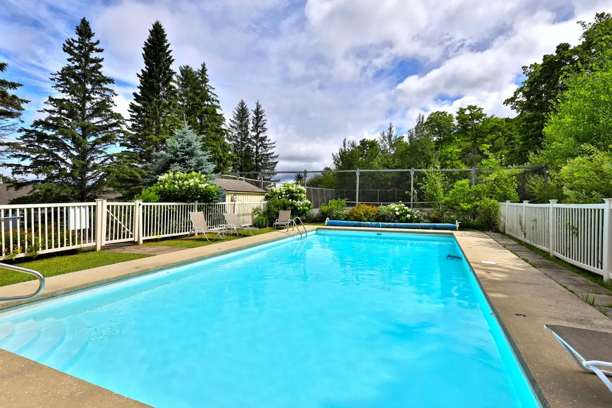 A sparkling outdoor swimming pool surrounded by lush greenery and comfortable lounge chairs, the area is bathed in natural sunlight and perfectly set up for both swimming and relaxed gatherings. The tranquil setting invites guests to enjoy leisure time by the pool in warm weather.